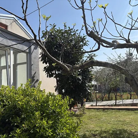 Vala Bloom Tatil Evi