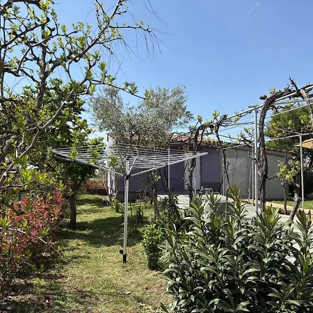 Vala Bloom Tatil Evi *