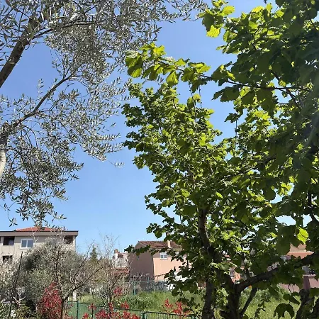 Vala Bloom Tatil Evi Valbandon