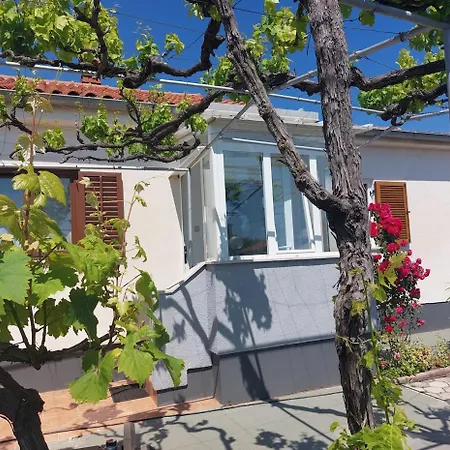 Vala Bloom Tatil Evi *