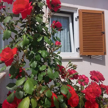 Vala Bloom Tatil Evi